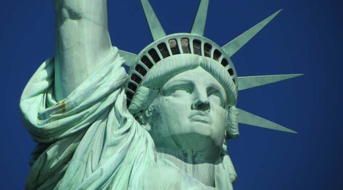 The Magical World Inside Your Recycling Bin