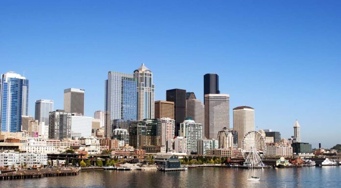 Why Do People Support Donald Trump?