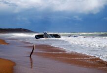 Russia Has Added Dozens of Aircraft to It’s Fleet