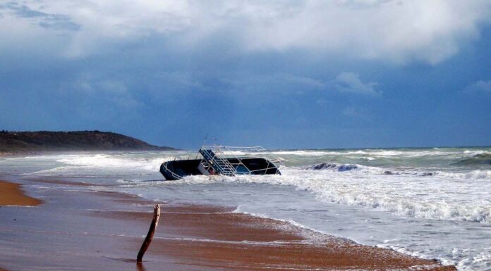 Study Finds that Green Spaces Make Kids Smarter