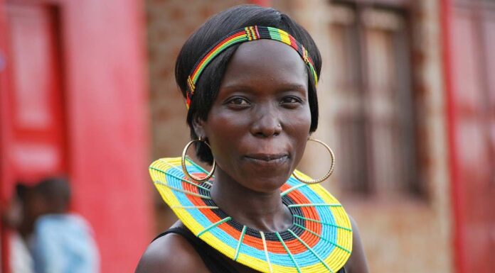 The Best Car Purchase to Help the Environment?